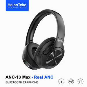 Haino Teko Earphone ANC-13