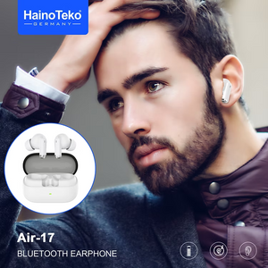 Haino Teko Earphone Air-17