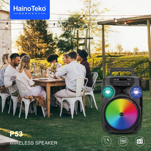 Haino Teko Speakers P5-3