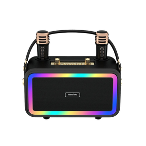 Portable Hainoteko Speaker With 2 Wireless Mic MS -133