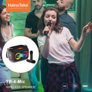 Haino Teko Speakers  TB-4 MIC