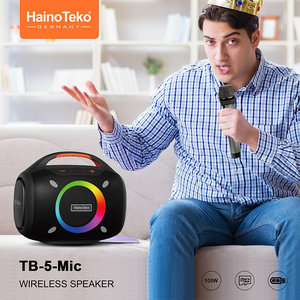 Haino Teko Speakers TB-5Mic