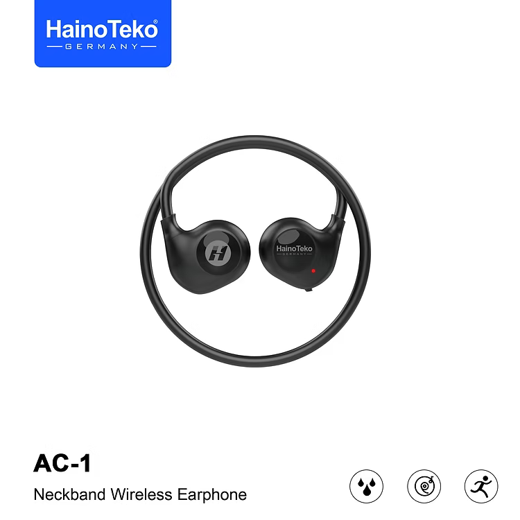 Haino Teko Earphone AC-1