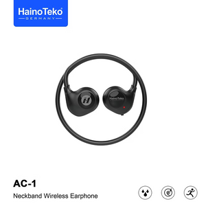 Haino Teko Earphone AC-1