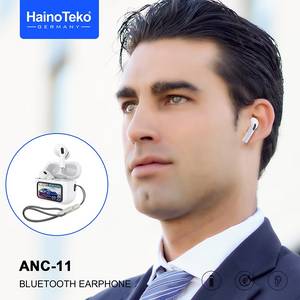 Haino Teko Earphone ANC-11
