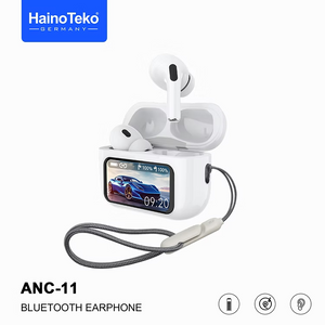 Haino Teko Earphone ANC-11