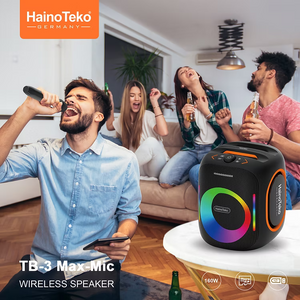 Haino Teko Speakers TB-3 MaxMic
