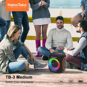 Haino Teko Speakers TB-3 Medium